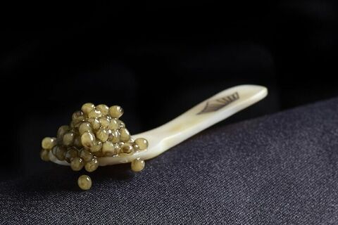 Royal belgian caviar osietra pearl