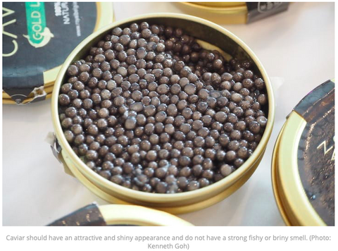 How to buy and enjoy caviar shiny appearance