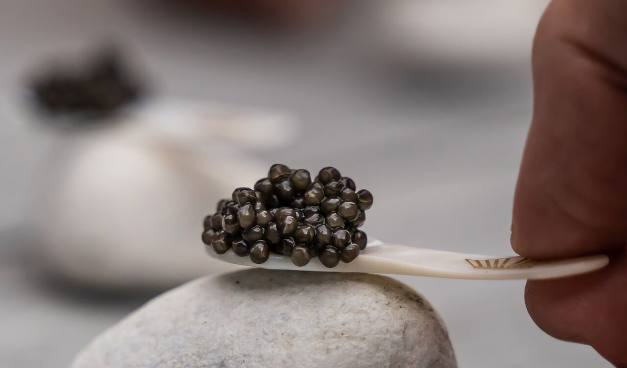 Caviar rock