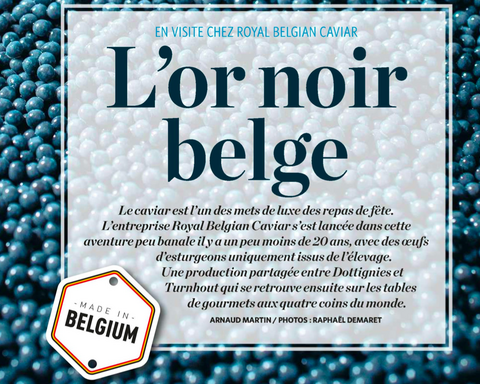 Lor noir belge