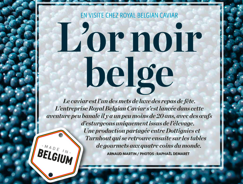 Lor noir belge