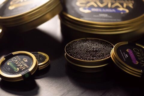 Collection caviar