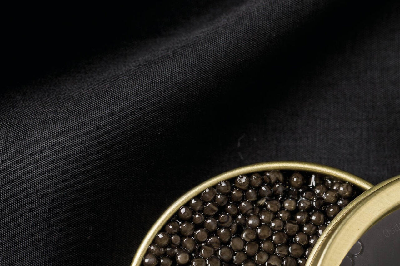 Goldlabel top