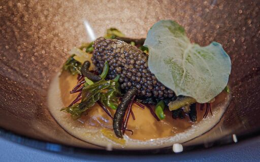 Restaurant Vrijmoed 5